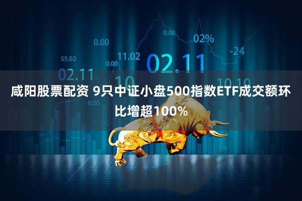 咸阳股票配资 9只中证小盘500指数ETF成交额环比增超100%