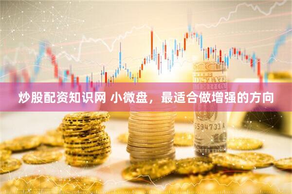 炒股配资知识网 小微盘，最适合做增强的方向